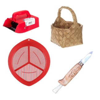 Bär- och svampplockning